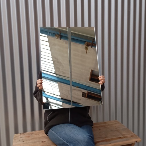 [6.3.351-004] Miroir 60x42 cm 