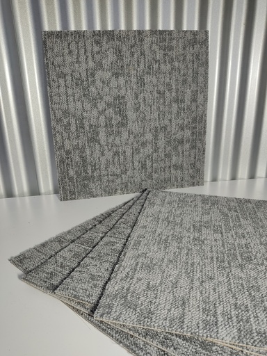 [7.1.355-001] Dalle moquette gris clair